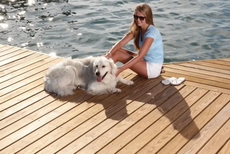 pier advantage application3