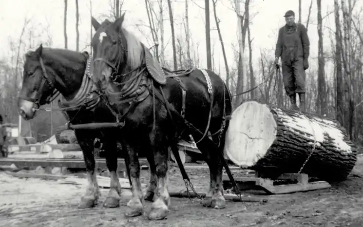 Historic image representing Biewer's first interest in lumber in 1926